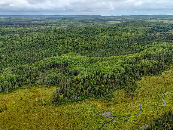 2nd image of 40 acres on FR 1769