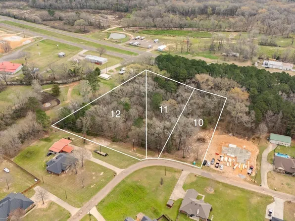 LOT 10 Heather Ln, Diana, TX 75640