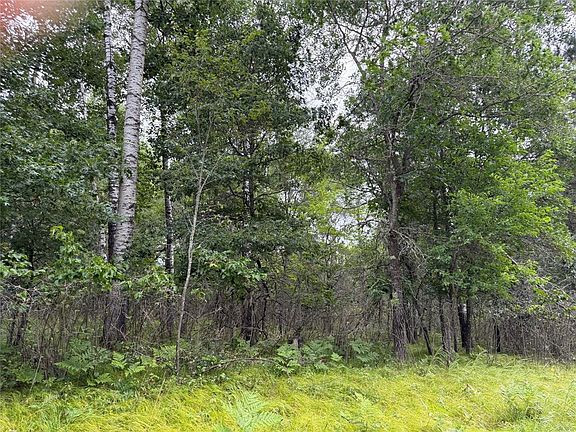 3rd image of Lot 56 George Lake Road