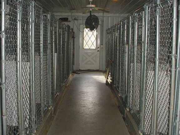 Kennel ARea