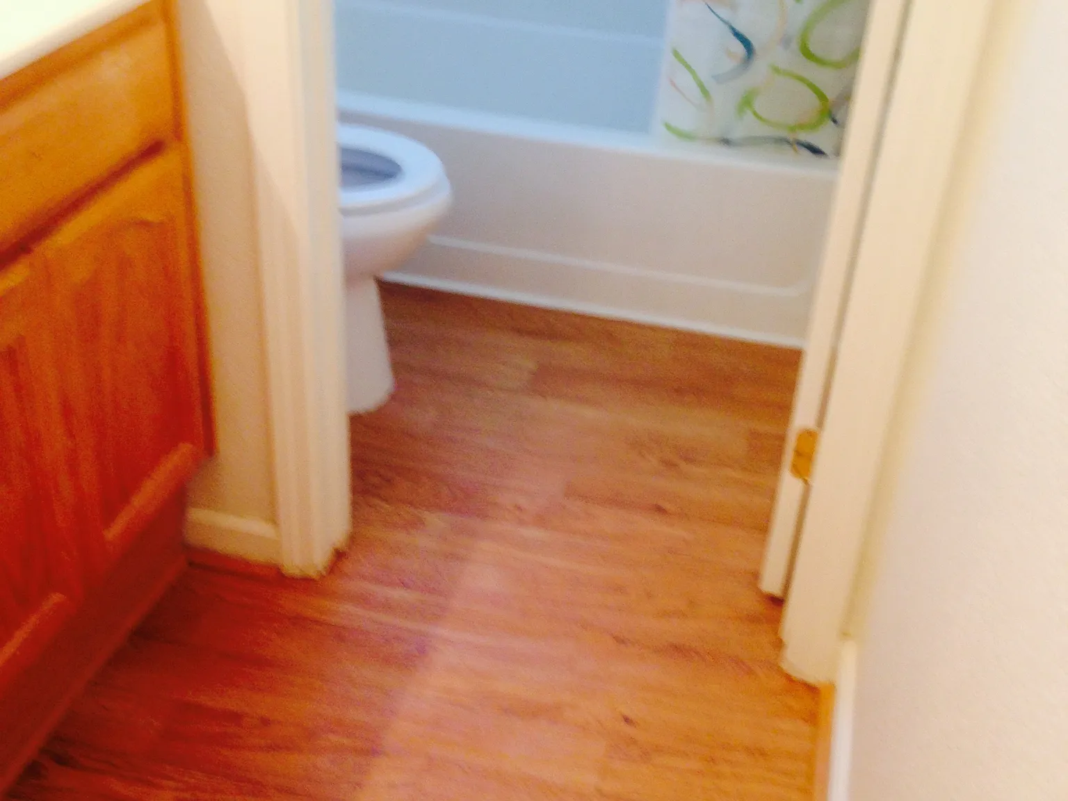 3 bed, 1339 sqft, $2,675 — Photo 3
