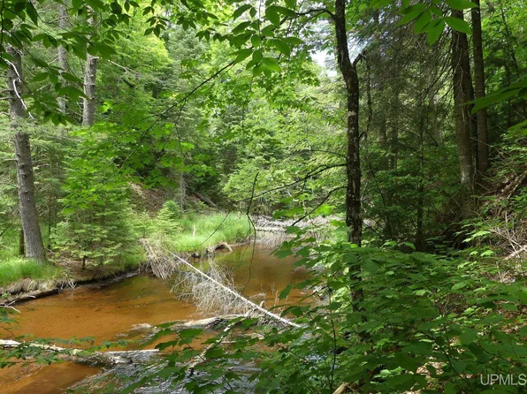 47 E 3rd Rd, Seney, MI 49883