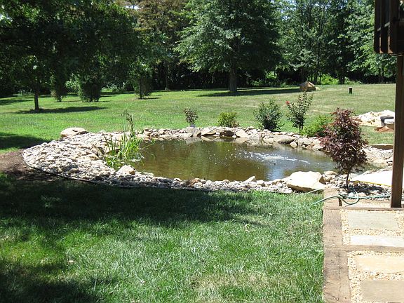 Pond off back patio