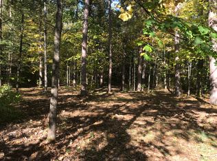 Cedar Run Rd #18, Mio, MI 48647