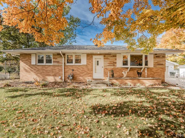 328 Wilkinson St, Chelsea, MI 48118