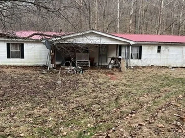 1413 Tick Ridge Frk, Olive Hill, KY 41164