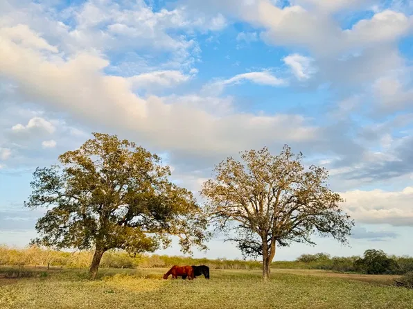 1410 W County Road 109, Leesville, TX 78122