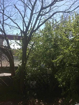 Rented by Keller Williams NYC | media 26