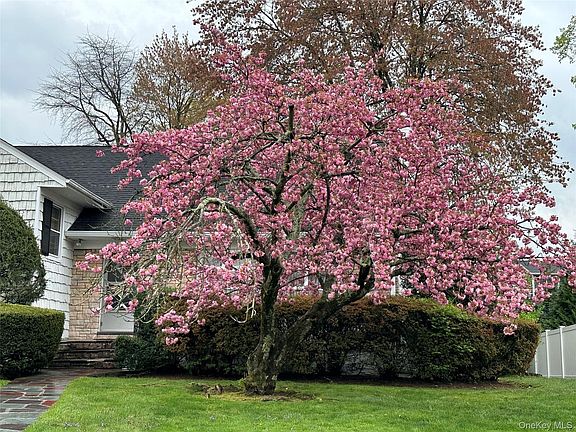 2nd image of 285 Stuart Drive