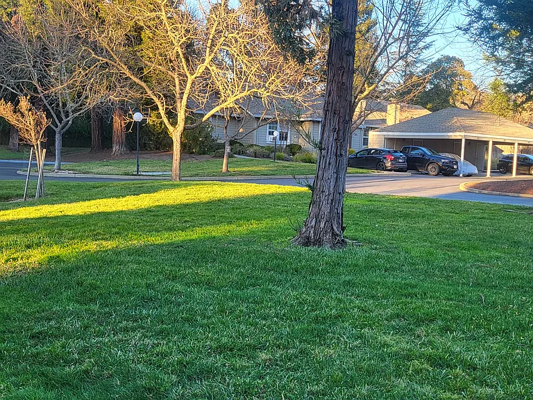 303 W Thomson Ave — Photo 6