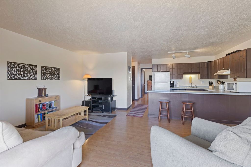 833 Straight Creek Drive UNIT 301, Dillon, CO - View 2
