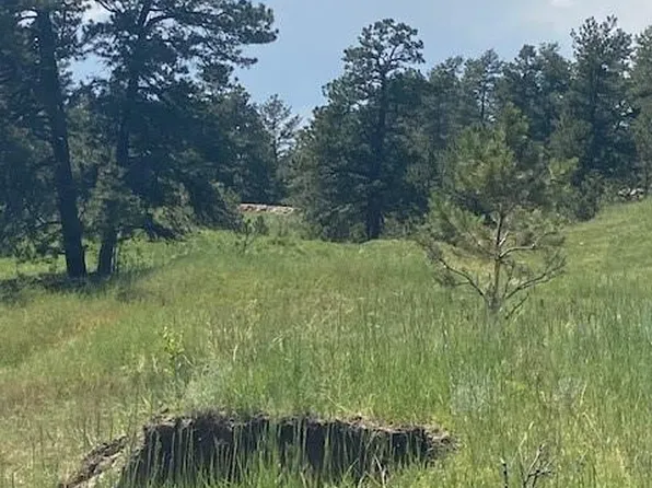 11722 County Road 102, Elbert, CO 80106