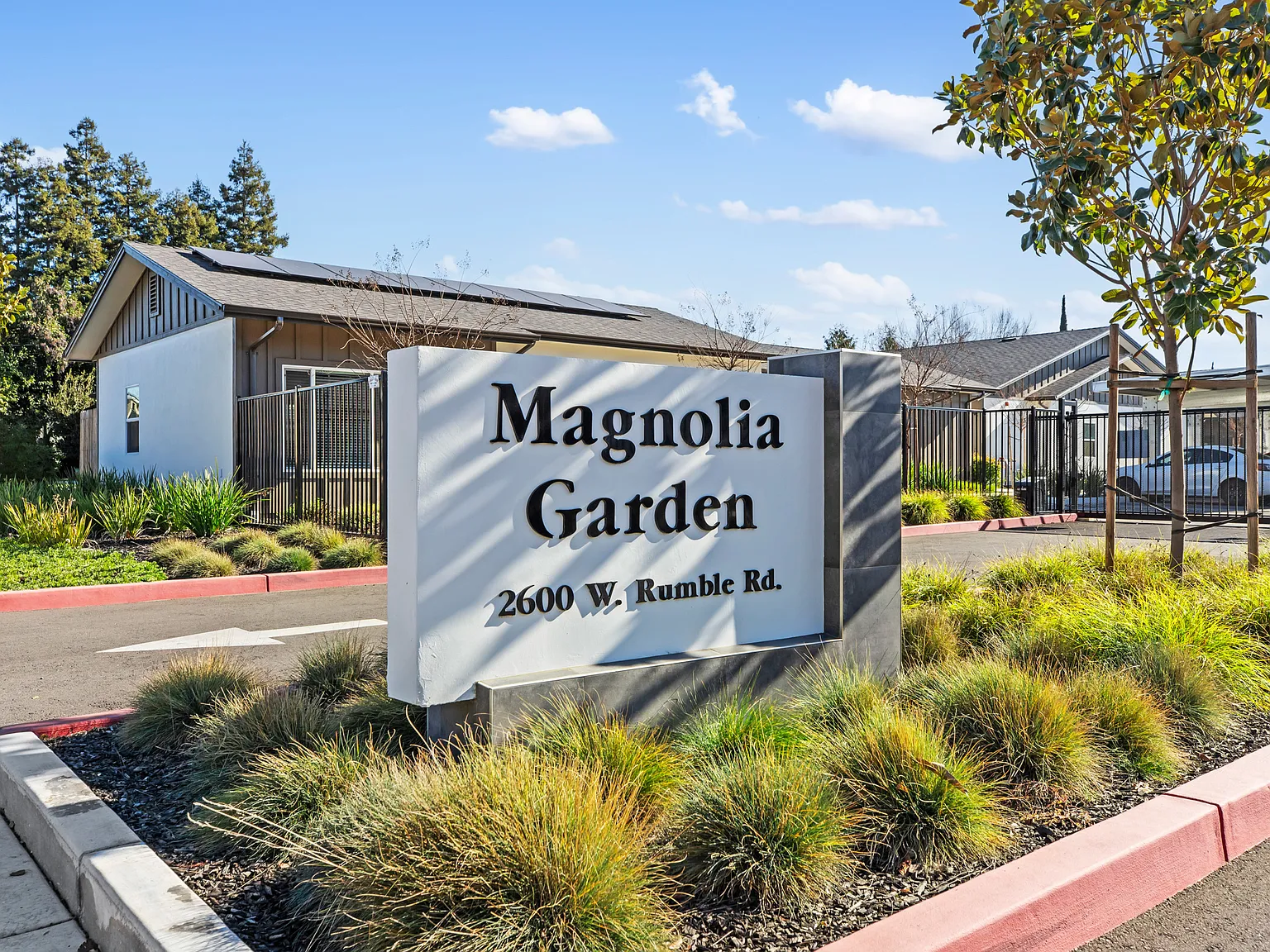 Magnolia garden — Photo 1