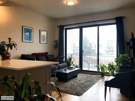 Rented by Native Real Estate LLC | media 24