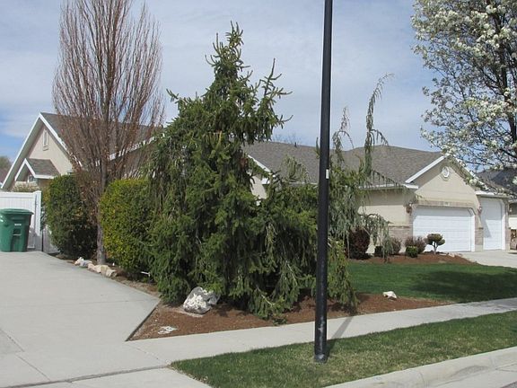 3rd image of 2378 W Nathanael Way