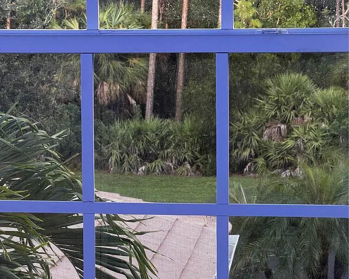 6215 Wilshire Pines Cir #1608 — Photo 32