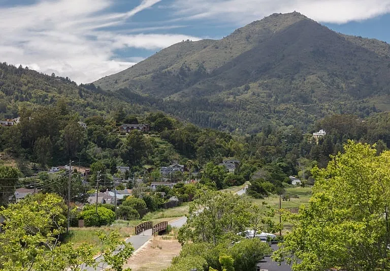 Bell Mt. Tam — Photo 22