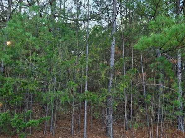 5 Claypole Ln #5, Bella Vista, AR 72715