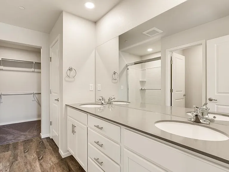 Master bath and walk-in closet