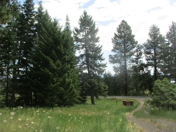 2165 W Mountain Rd, Cascade, ID 83615