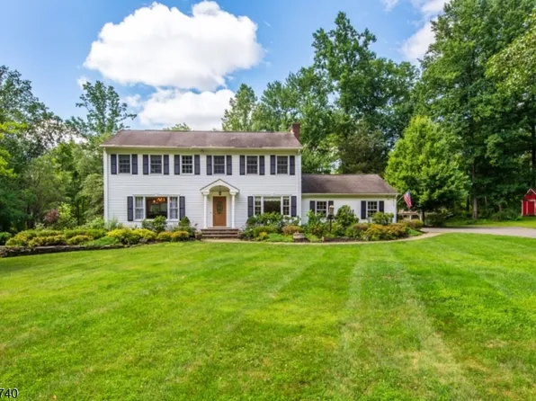9 Francis Ln, Chester Twp., NJ 07930