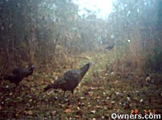 1040 Tickridge Rd, Silex, MO 63377