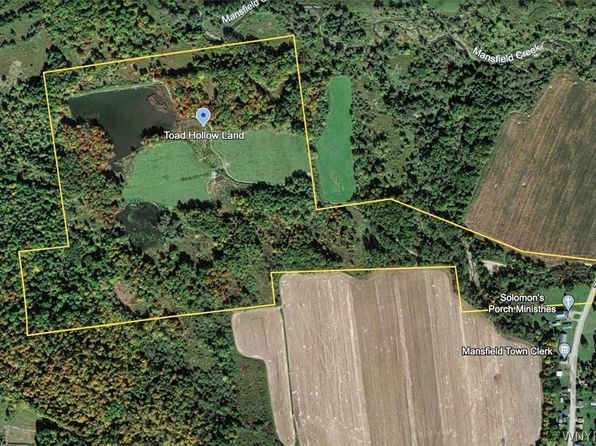 0 Toad Hollow Rd LOT 4, Mansfield, NY 14755