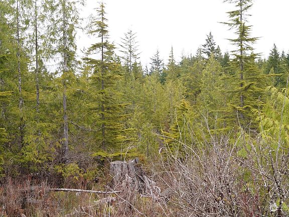 5th image of 0 Off of US Highway 101