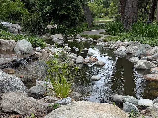 7150 Carlson Cir #3 — Photo 16