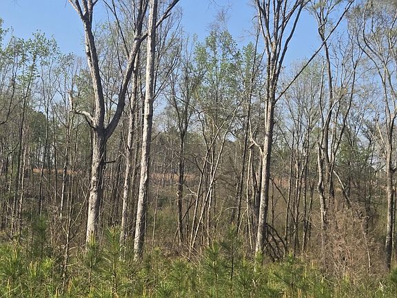 5th image of 0 Mercier Road