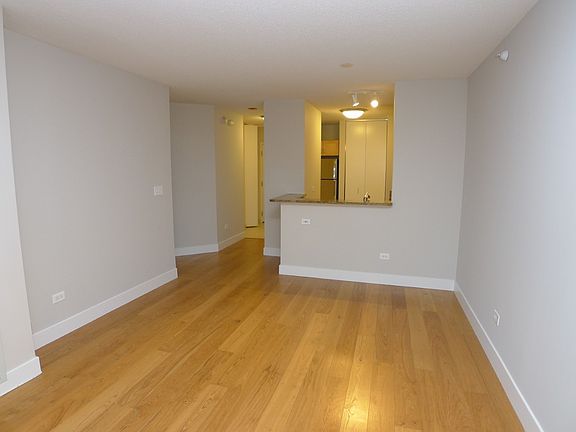 5th image of 222 N Columbus Dr APT 3007