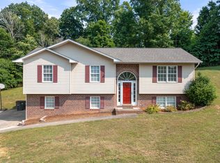 248 Mountain View Dr, Mt Carmel, TN 37645