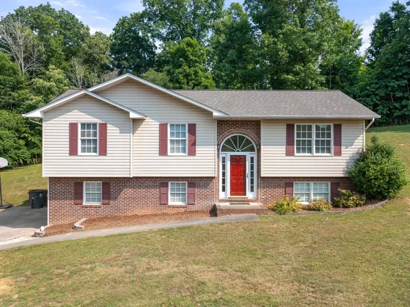 248 Mountain View Dr, Mt Carmel, TN 37645