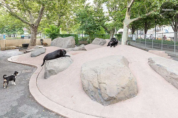 Rented by Triplemint | media 21