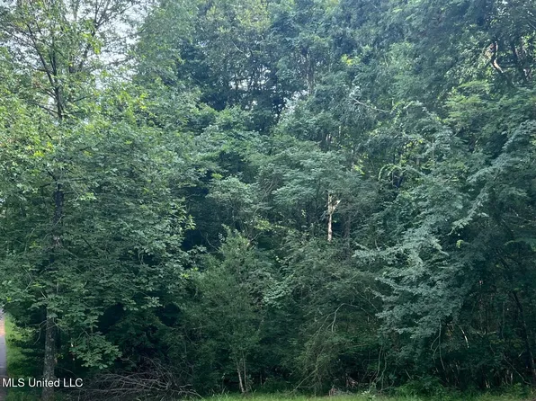 0 Highway 315, Sardis, MS 38666
