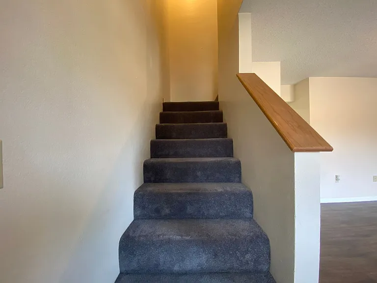 162 Vickie Lynn Ln — Photo 14