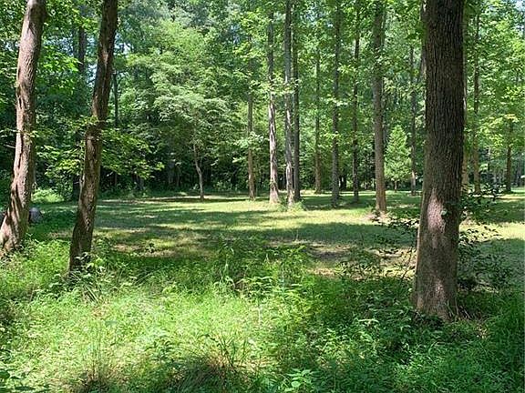 3rd image of 5355 Swamp Ln