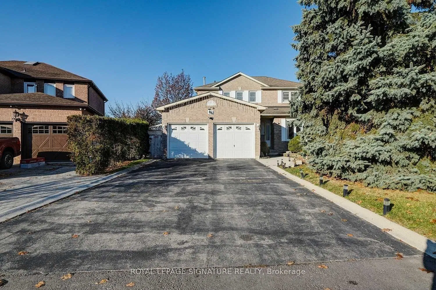 1 bed, $1,800 — Photo 4