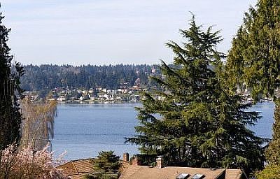 Lake WA View