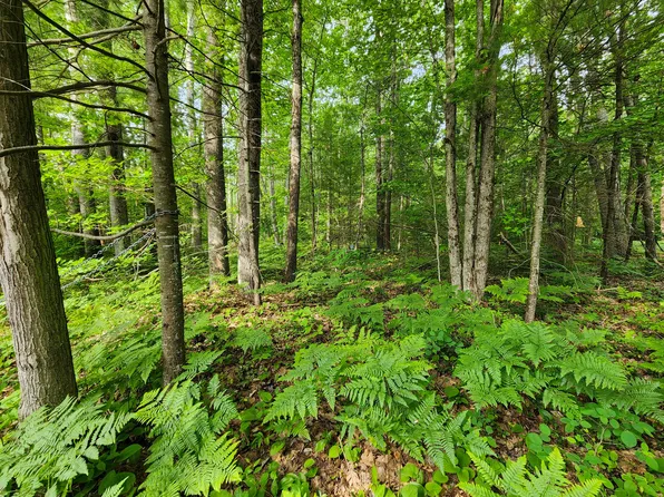 Luella St, Topinabee, MI 49791