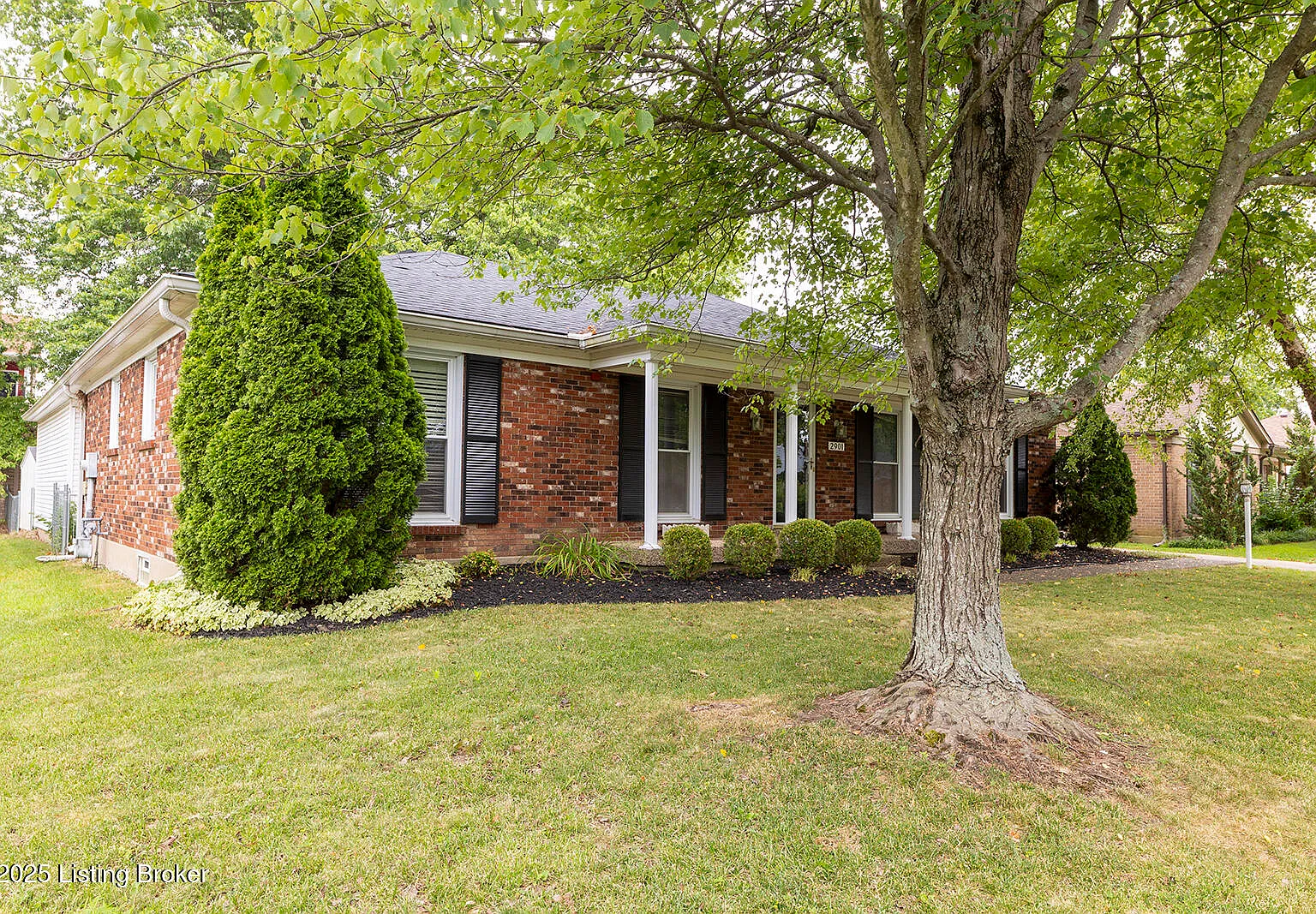 3 bed, 2.0 bath, 1595 sqft, $2,500 — Photo 2