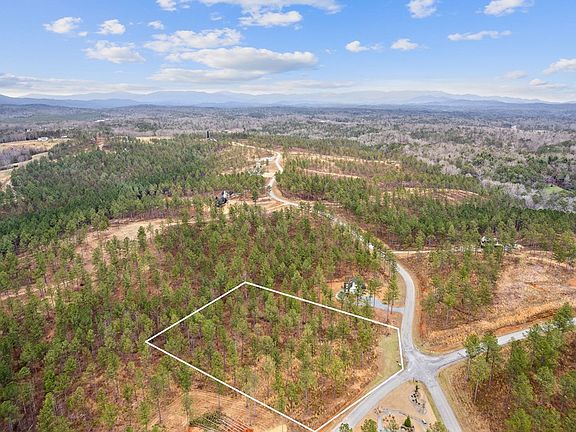 5th image of LOT 91 High River Rd