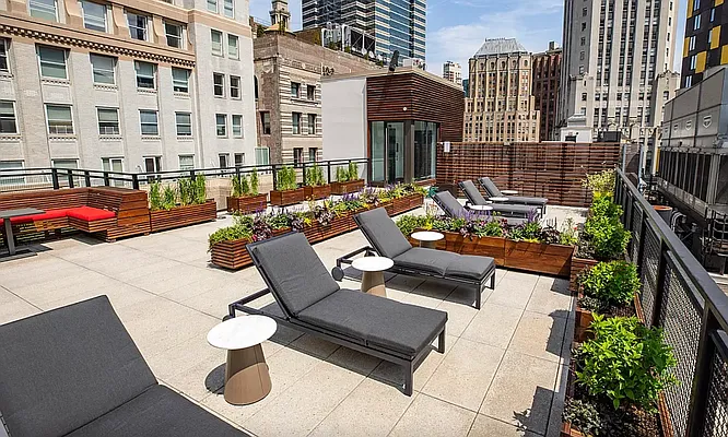 Rented by Mayell LLC | media 8