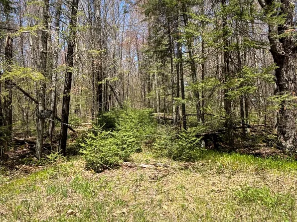 0 Vascheau Rd, Merrill, WI 54452