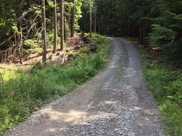 0 Old Ledge Road #1, Westminster, VT 05159