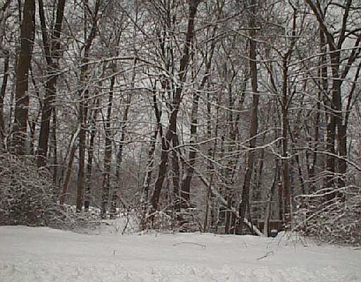 1st image of 23 Lillian Avenue