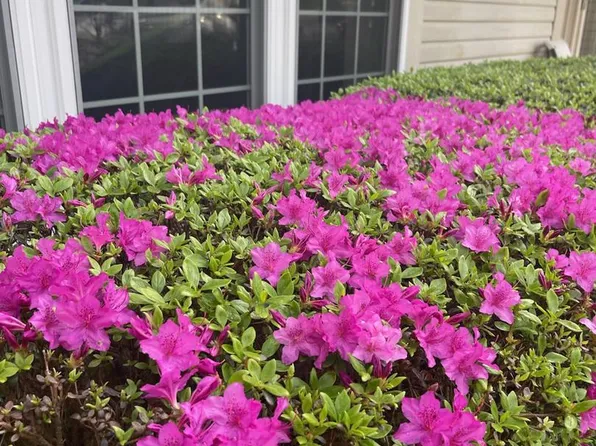 2785 Sugar Pine Ct, Woodbridge, VA 22192