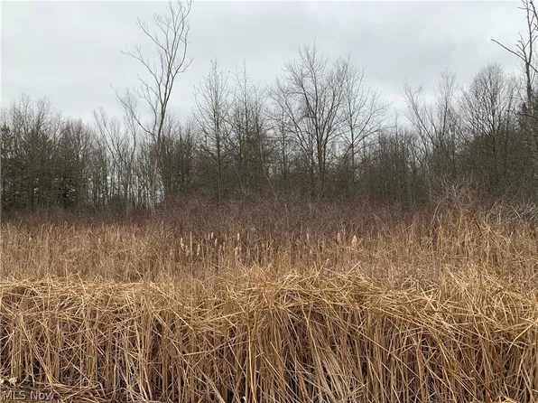 Belmont Ave, Youngstown, OH 44505