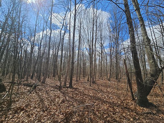 3rd image of 10 Griswold Rd