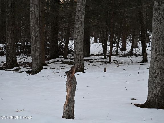 2nd image of 1121 Broken Ski Rd